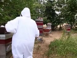 Views of a Bee Keeper in Somerset Stock Footage