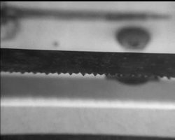 COLDITZ EXHIBITION News Clip