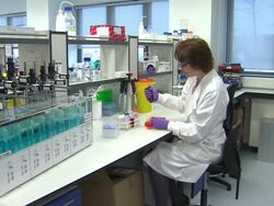 Obese Babies Being Treated Before Birth News Clip