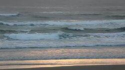 Canon Beach, the Oregon Coast, Oregon, USA Stock Footage
