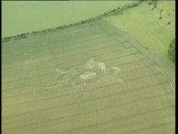 Crop circles in Wiltshire News Clip