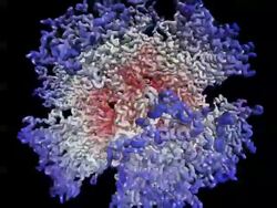 Rotating animated model of human Adenovirus type 3 2C9F Stock Footage