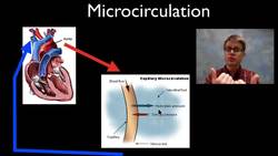 Interstitial Fluid Instructional Video