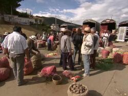 Men milling around with sacks of potatoes and vegetables for sale, Villa De Leyva market, Villa De Leyva, BoyacÃƒÂ¡ department, Colombia Stock Footage