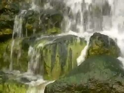 HD 1080i Waterfall with Moss 1 Stock Footage