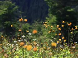 HD: Plateau Stock Footage