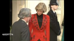 Princess Diana at the British Red Cross Society News Clip