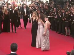 Cannes Film Festival 2009: Vengeance Steps Stock Footage