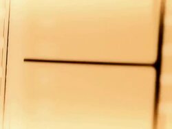 Film Damage Stock Footage