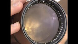 People watching an eclipse in Kruger National Park News Clip