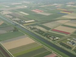 AERIAL Dutch flower fields intersected by roads and canals, North Holland province Stock Footage