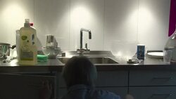 CLEAN : Home for the hypersensitve in Switzerland News Clip