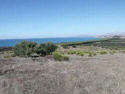 Heraclea Minoa, view of the coast line Stock Footage