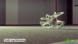 9 Amazing New Arachnid Species Instructional Video