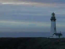 Oregon Lighthouse Stock Footage