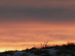 WS Cowboy on horse trotting across field at sunset / Shell, Wyoming, United States Stock Footage