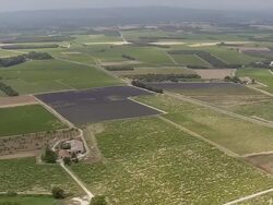 WS View over vineyards and roadway / Rhone Alpes, France Stock Footage