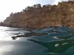 Swimming in the blue sea Stock Footage