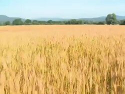 HD CRANE: Countryside Stock Footage