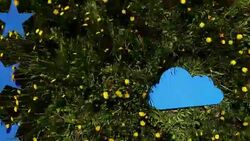 sky and stars symbols Stock Footage