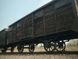 Preparations For The 70th Anniversary Of The Liberation Of Auschwitz-Birkenau Stock Footage
