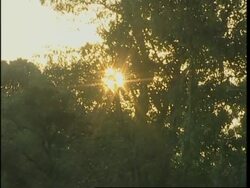 Relatives search for students feared to be held as human shields Instructional Video