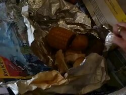 New Zealanders Use Traditional Hangi To Cook Food Stock Footage