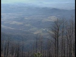 Cer mountain where Ratko Mladic was rumoured to be hiding News Clip