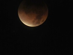 CU T/L View of Total lunar eclipse that occurred on December 10, 2010 in Oak / Oak View, California, United States   Stock Footage