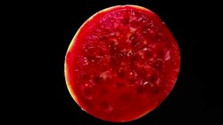 Cactus pear healthy lifestyle slowly rotating with black background Stock Footage