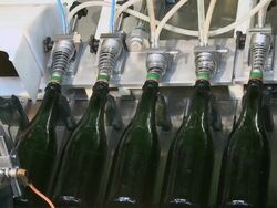 CU Champagne bottles on production line / Wiltingen, Saar-Valley, Rhineland-Palatinate, Germany Stock Footage