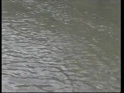 Rivers burst their banks, people in flood waters Instructional Video