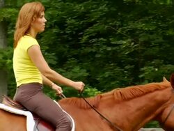 Marcia's Horse - Walk Left to Right Stock Footage
