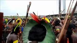 VOICED : Reclamo de indigenas brasilenos News Clip