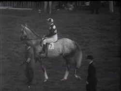 AIRBORNE'S ST. LEGER News Clip