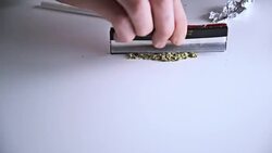 Marijuana. Stock Footage