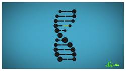 Founding An Inbreeding-Free Space Colony Instructional Video