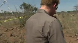 Prince Harry Visits Kruger National Park News Clip