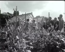 LONDONERS' GARDENS News Clip