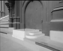 WINDY WHITE ELEPHANT News Clip