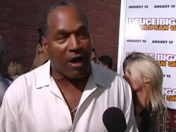 'Deuce Bigalow: European Gigolo' Las Vegas Premiere Stock Footage