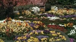 Tourists visit William Shakespeare's birthplace, Stratford-upon-Avon. Stock Footage
