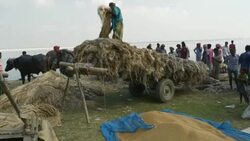 At a colourful monthly market families and traders converge by boat to barter sell and engage local produce and supplies in rural Bangladesh Stock Footage