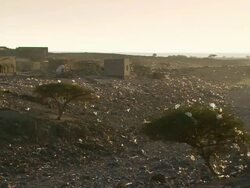 WS View of house in par pen and plastic bag flying away / Djibouti Stock Footage