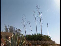 ISRAEL: NEW PROJECT HOPES TO BREAK CYCLE OF NEAR CONSTANT DROUGHT News Clip