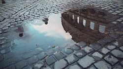 Coliseum reflected in rain water Stock Footage