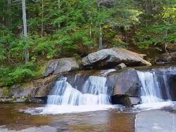 MS Shot of Grafton Notch State Park waterfalls over rocks in New England in fall Screw Auger Falls / Newry, Maine, United States Stock Footage