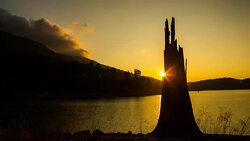 silhouette of dead trees in the lake with beautiful twilight sky Stock Footage