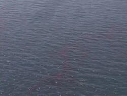 Gulf oil spill aerials Stock Footage