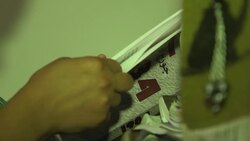 Some online publishers focus on alternative views Instructional Video